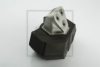 PE Automotive 100.028-00A Engine Mounting